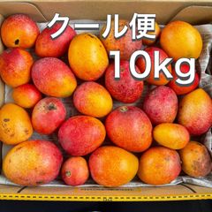 沖縄県産 【訳あり】完熟アップルミニマンゴー10kg