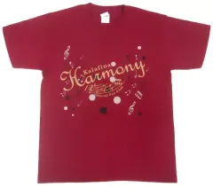 Kalafina ライブ グッズ セット Kalafina Anniverysary LIVE 2025オフィシャルグッズの