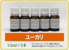 ユーカリ・グロブルス　10ml×5本（アロマストーンプレゼント）