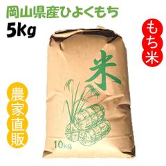 もち米 20kg 令和5年度 農家直送 ヒヨクモチ-