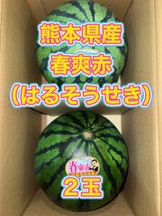 北海道沖縄離島追加送料無し　熊本県産赤肉すいか《春爽赤》２玉
