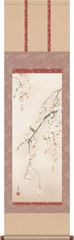 春掛 掛け軸-桜花/西尾香悦(尺三) 桐箱収納 床の間 和室 オシャレ 1MA2-079