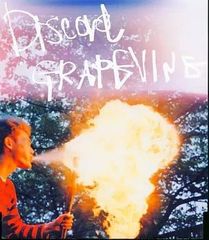 【中古】discord  /  GRAPEVINE（帯あり）