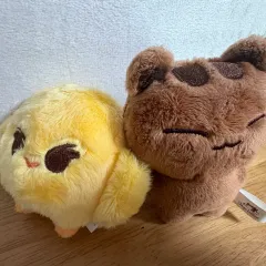 ONEUS シオン ぬいぐるみ トレカ付き ONEUS シオンぬいぐるみ トレカ付き USS