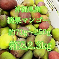 沖縄県産　摘果マンゴー　約70〜250g 箱込2.3kg
