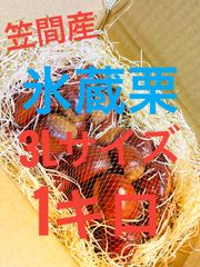 茨城県【笠間産】氷蔵貯蔵栗　1kg