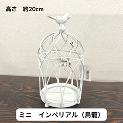 ミニインペリアル（鳥籠）