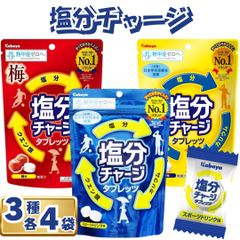 塩分チャージ タブレット 3種 各4袋セット 計12袋 熱中症対策 塩分補給 飴・タブレット 食べ比べ