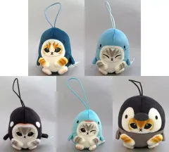 【中古】キーホルダー 全5種セット 「mofusand 海の生き物にゃん コロぬい」