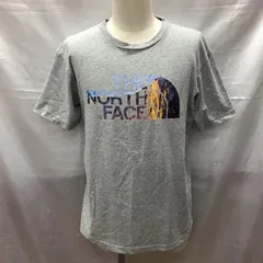 THE NORTH FACE ザノースフェイス Tシャツ 半袖 NT31831A 半袖カットソー Tシャツ プリントTシャツ