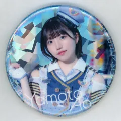 ANA　ピンバッチ　金、銀、銅 2025年最新】ana ピンバッチの人気アイテム - メルカリ