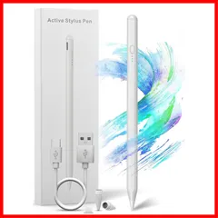 【人気】USB type-c充電式 耐摩 スタイラスペン 軽量 誤作動防止機能 2018年以降iPad/iPad タッチペン 傾き感知/磁気吸着機能/超高感度 Pro/iPad 第10世代対応 air/iPad ペンシル iPad mini対応 2023最新