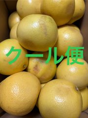 グレープフルーツ（ホワイト）箱込6.5キロ程度 トルコ産
