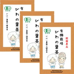 有機栽培 びわの葉茶 3g×40包 (お得な3個セット)【がばい農園公式】