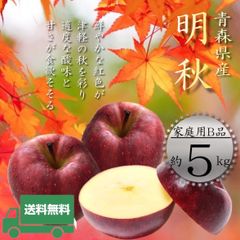 青森県産 ＂ 明秋 (めいしゅう)＂ りんご【ご家庭用B品5kg】【送料無料】【産地直送】リンゴ 林檎