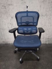 Ergohuman Pro/エルゴヒューマンプロ　【訳あり】