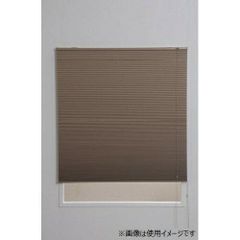 2セット】TUISSツインハニカムシアーぺブルシェード57.5cmx110cm 