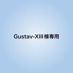 Gustav-XIII様専用
