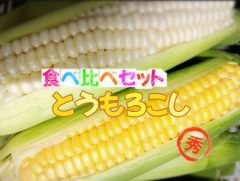 新鮮野菜 秀品  食べ比べセット白色 5本黄色5本！ クール便