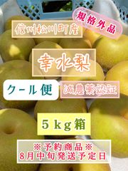 クール便 生栗 6L相当 2㎏ 無農薬 - メルカリ