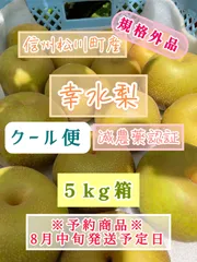 クール便　信州松川町産　規格外品幸水梨5キロのサムネイル