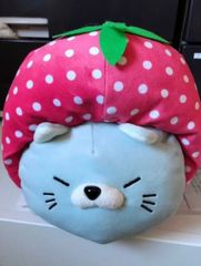 着せ替えにゃもベリー♡