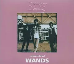 2025年最新】complete of wands at the being studioの人気