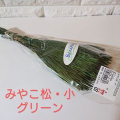 大地農園 みやこ松・小 グリーン 新品1袋