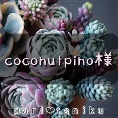 coconutpino様　専用
