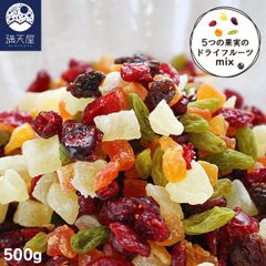 【お試し訳あり】ドライフルーツミックス 500g (2025.07.05)