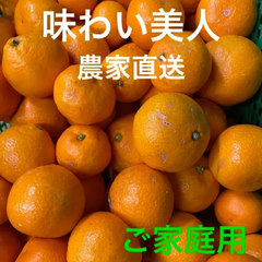 専用有田みかん農家直送味わい美人 くぅ🍊有田オレンジファーム - メルカリShops