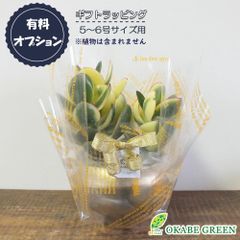 【有料ラッピングサービス】 5～6号鉢用 ミニ ラッピング 包装 贈り物 誕生日 包装 御祝 お祝い 敬老 [オプション] 送料無料