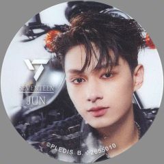 [중고] 모바일 잡화 준 [SVT 스마트폰 그립 ~Face the Sun~ From PLEDIS ENTERTAINMENT SEVENTEEN]
