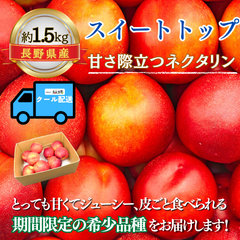 スイートトップ ～甘くてジューシー夏のごちそう～【内容量】約1.5kg【配送方法】クール配送【サイズ】L以上【品目】ネクタリン【品種】スイートトップ【産地】長野県【規格】ご家庭用A品【販売会社】有限会社青木青果