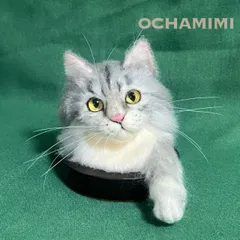 2025年最新】ひょっこり猫 ハンドメイドの人気アイテム - メルカリ