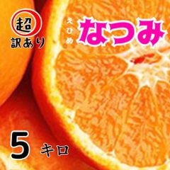 超訳あり　なつみみかん　5キロ　サイズ不揃い　北海道沖縄のお客様発送不可です