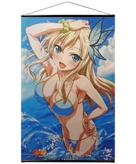 【中古】タペストリー 柏崎星奈 描き下ろしB2タペストリー 「PSPソフト 僕は友達が少ない ぽーたぶる 限定版」 WonderGOOオリジナル特典