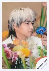 【中古】生写真(STARTO) Hey! Say! JUMP/八乙女光/バストアップ/「Hey! Say! JUMP LIVE TOUR 2023→2024 PULL UP!」グッズオフショット/公式生写真