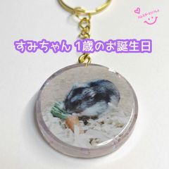 【おまけ付き】レジンキーホルダー  写真入り ハンドメイド すみちゃん 1歳のお誕生日バージョン