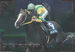 【競馬】メモリアルカード等セット　ケース付き 2025年最新】サラブレッドカードメモリアルの人気アイテム