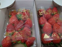 とちおとめ苺　Lサイズ　２パック