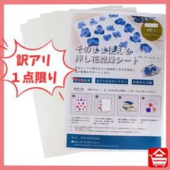 ＊＊訳アリ　１点限り＊＊　そのまま使える押し花乾燥シート　Ｂ5サイズ４枚