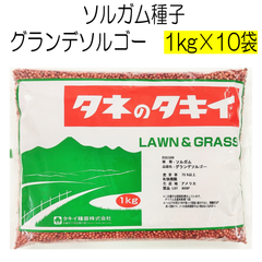 ソルガム種子　グランデソルゴー　10kg　タキイ種苗【種】緑肥の種　夏に強い緑肥