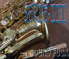 H.SELMER SERIE-III セリエ3 彫刻付　アルトサックス　良品