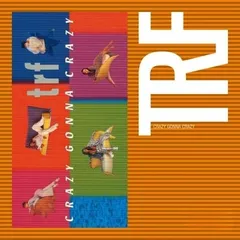 2025年最新】trf レコードの人気アイテム - メルカリ