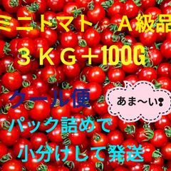 ミニトマト(サンチェリーピュア)　Ａ級品 ３ｋｇ＋100g