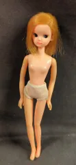 2025年最新】初代レディリカちゃんの人気アイテム - メルカリ