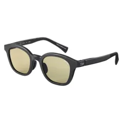 2025年最新】偏光サングラス ダイワ タレックスの人気アイテム