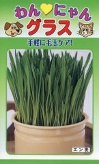＜種＞エン麦　わんにゃんグラス　60ｍｌ　エンムギ　毛玉ケアに　猫草　ネコクサ