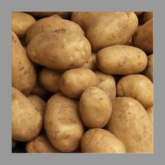 大山山麓 栽培期間中農薬化学肥料不使ジャガイモ3kg送料込 大山山麓 栽培期間農薬化学肥料不使用栽培じゃがいも3kg送料込